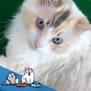 Meet your Posher, Eve